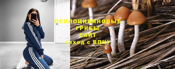 гашик Магадан