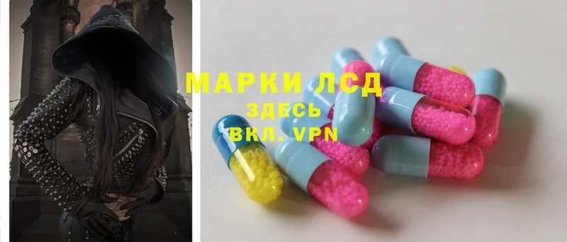 даркнет как зайти  Жуковский  ЛСД экстази ecstasy 