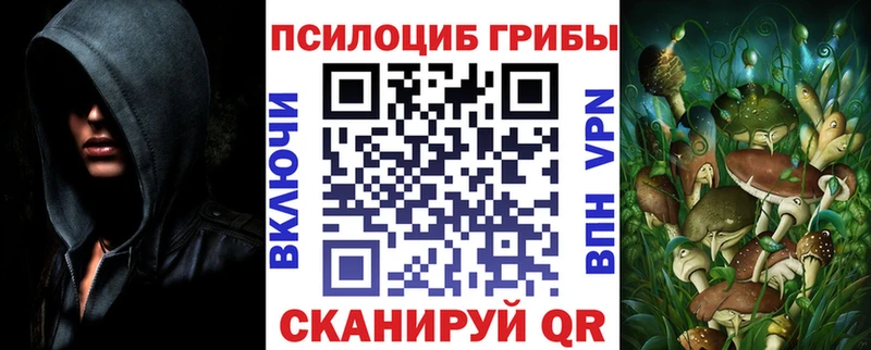 KRAKEN зеркало  Жуковский  Галлюциногенные грибы прущие грибы 