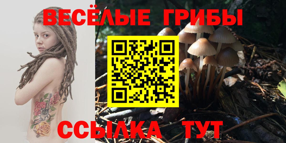 Псилоцибиновые грибы прущие грибы Жуковский