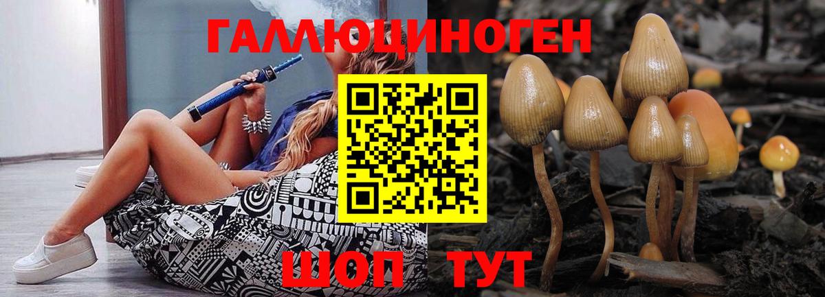 продажа наркотиков  Жуковский  Псилоцибиновые грибы Magic Shrooms 