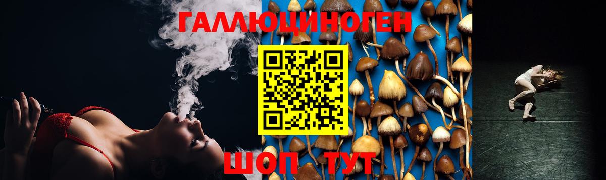 Галлюциногенные грибы MAGIC MUSHROOMS  Вход с VPN  Жуковский 