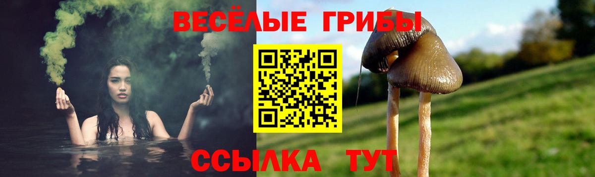 Галлюциногенные грибы MAGIC MUSHROOMS Жуковский